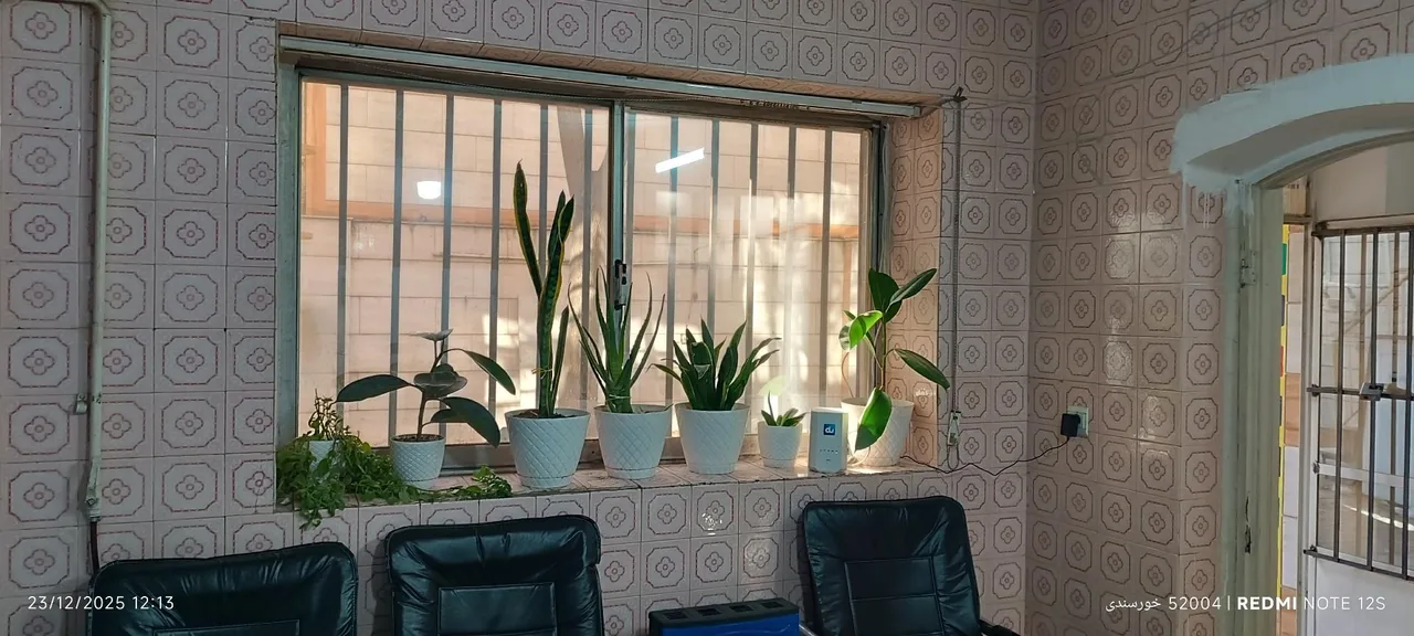 کافی نت بهار - تصویر 5