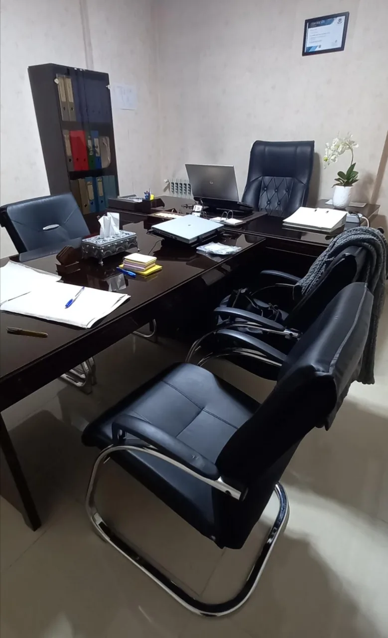 موسسه حسابداری هونامیک