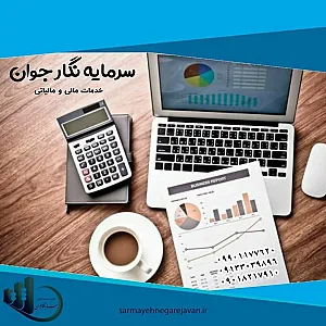 مؤسسه خدمات مالی سرمایه نگار جوان