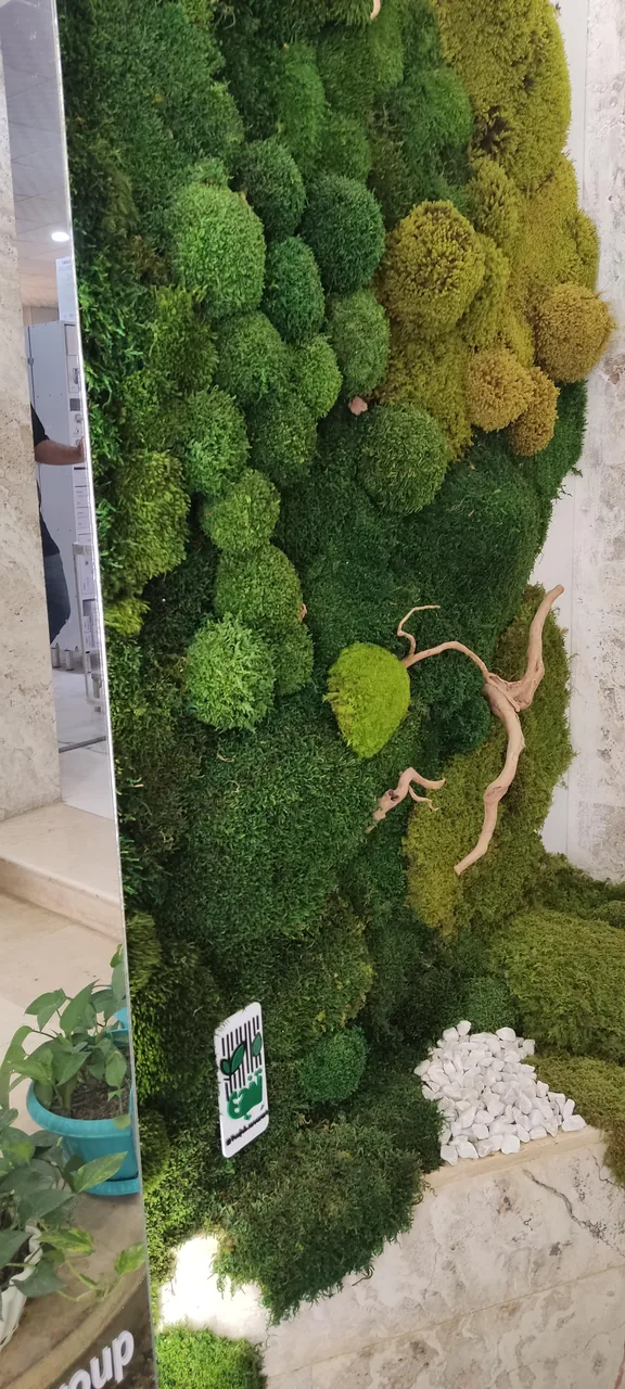 شیراز آکواریوم - تصویر 4