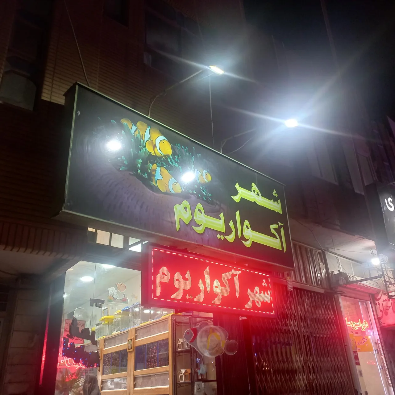 شهر آکواریوم - تصویر 2