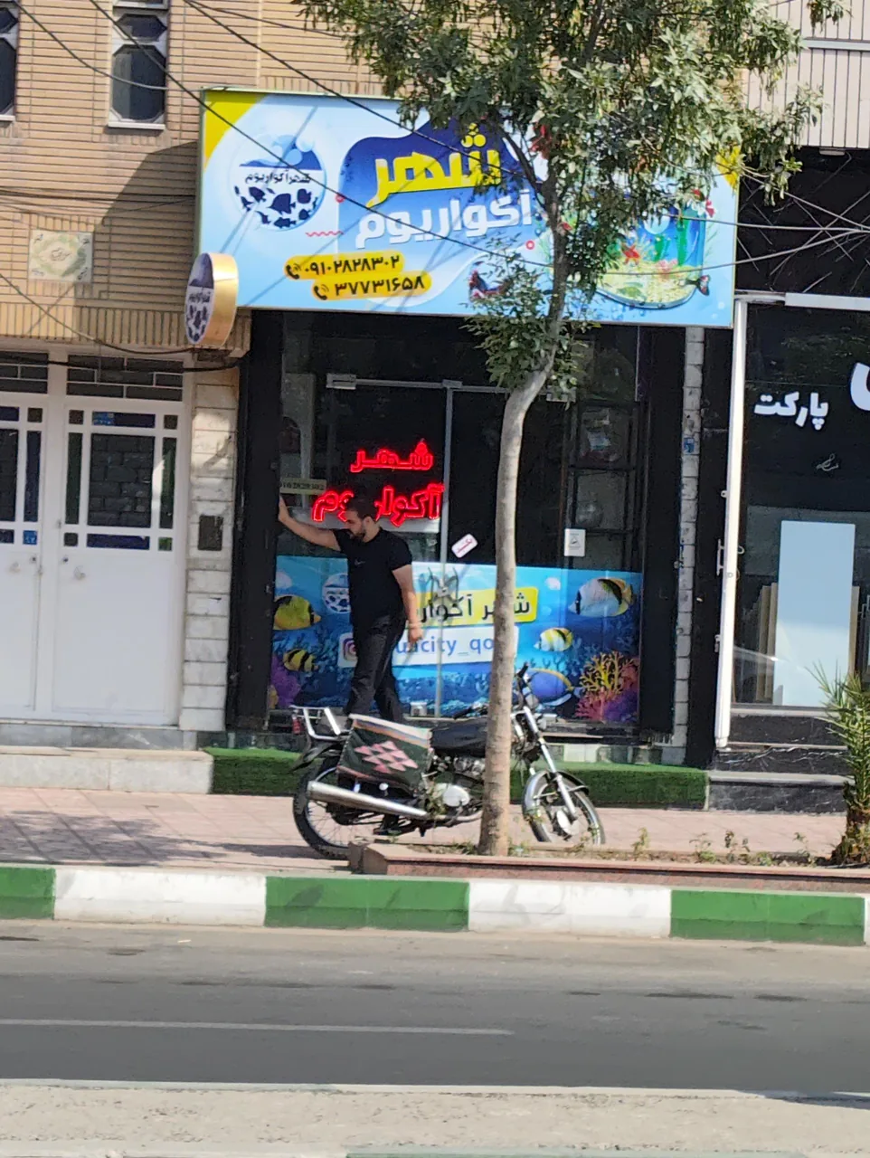 شهر آکواریوم - تصویر 4