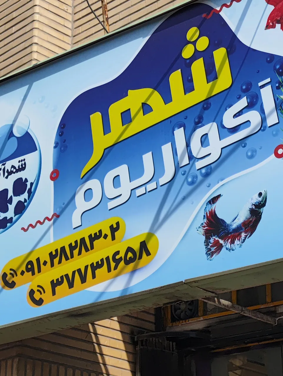 شهر آکواریوم - تصویر 5