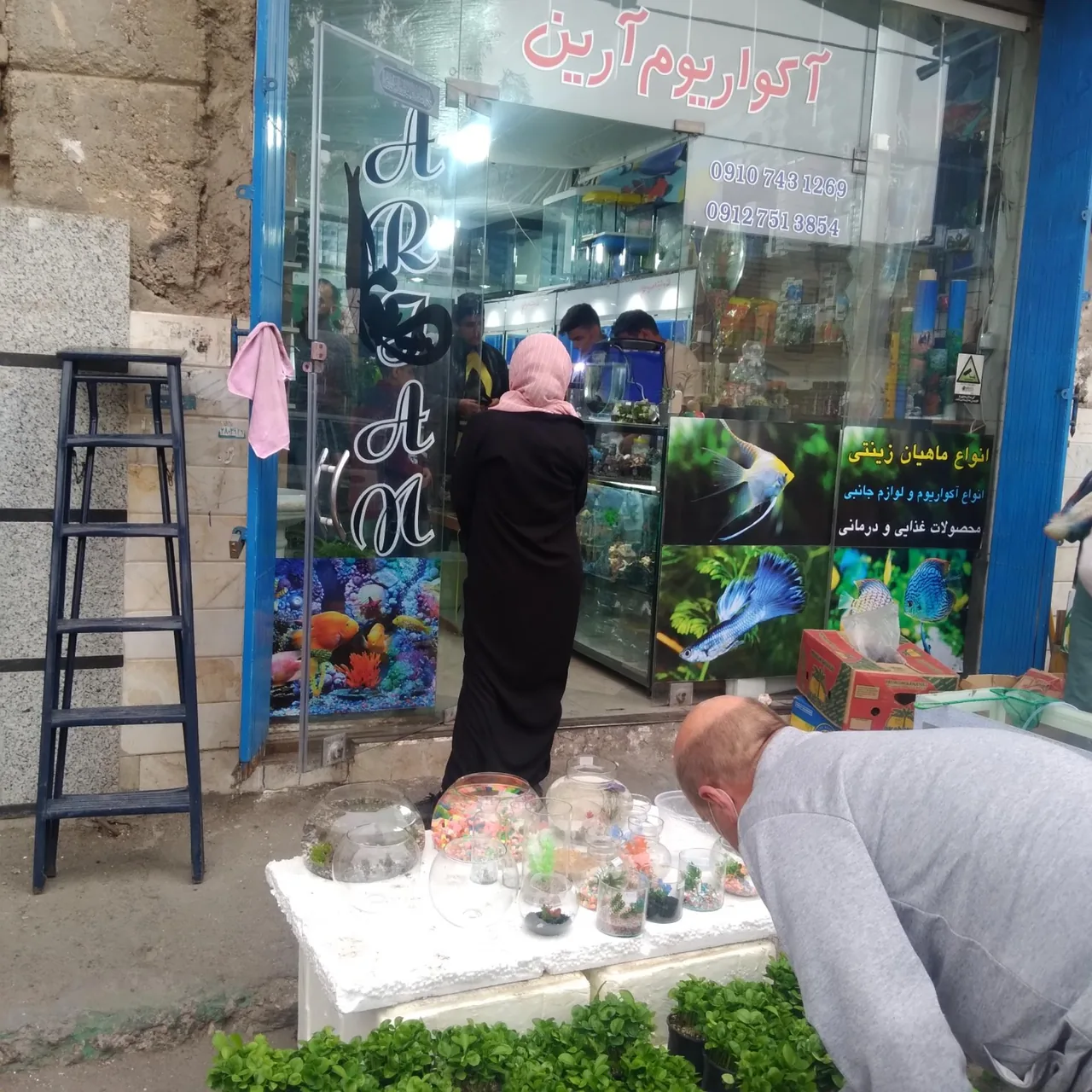 آکواریوم آرین - تصویر 2