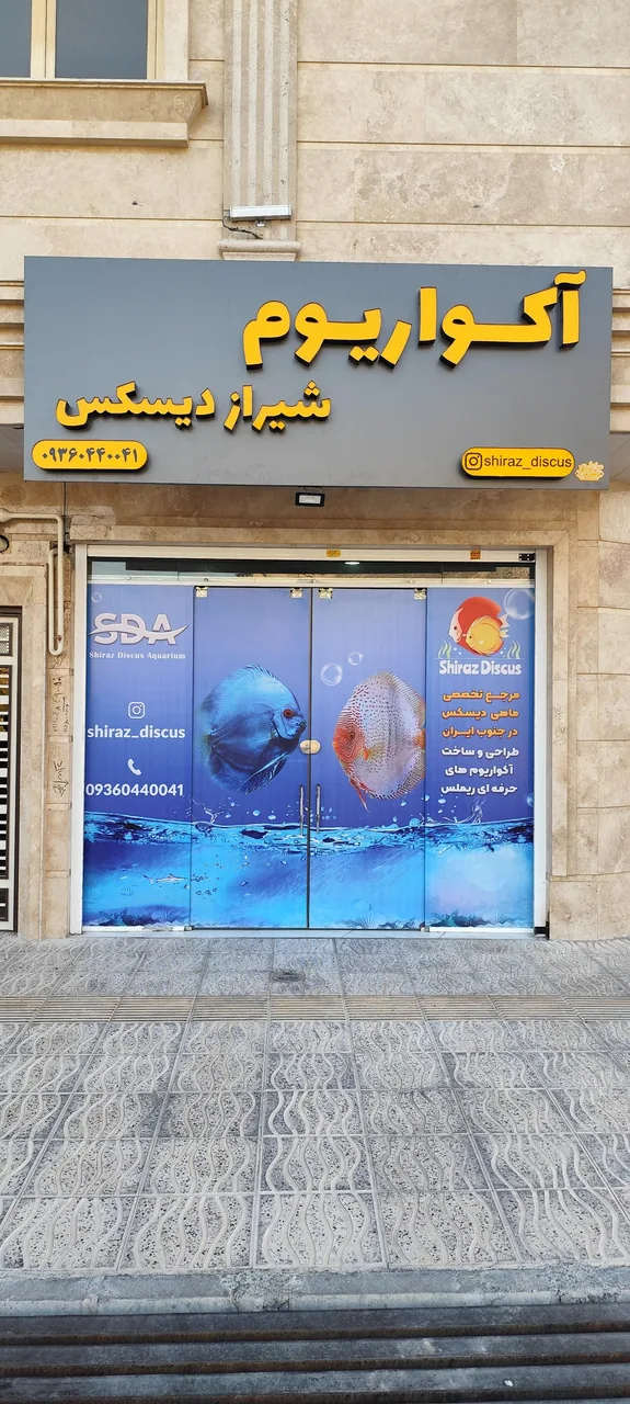 شیراز دیسکس اکواریوم