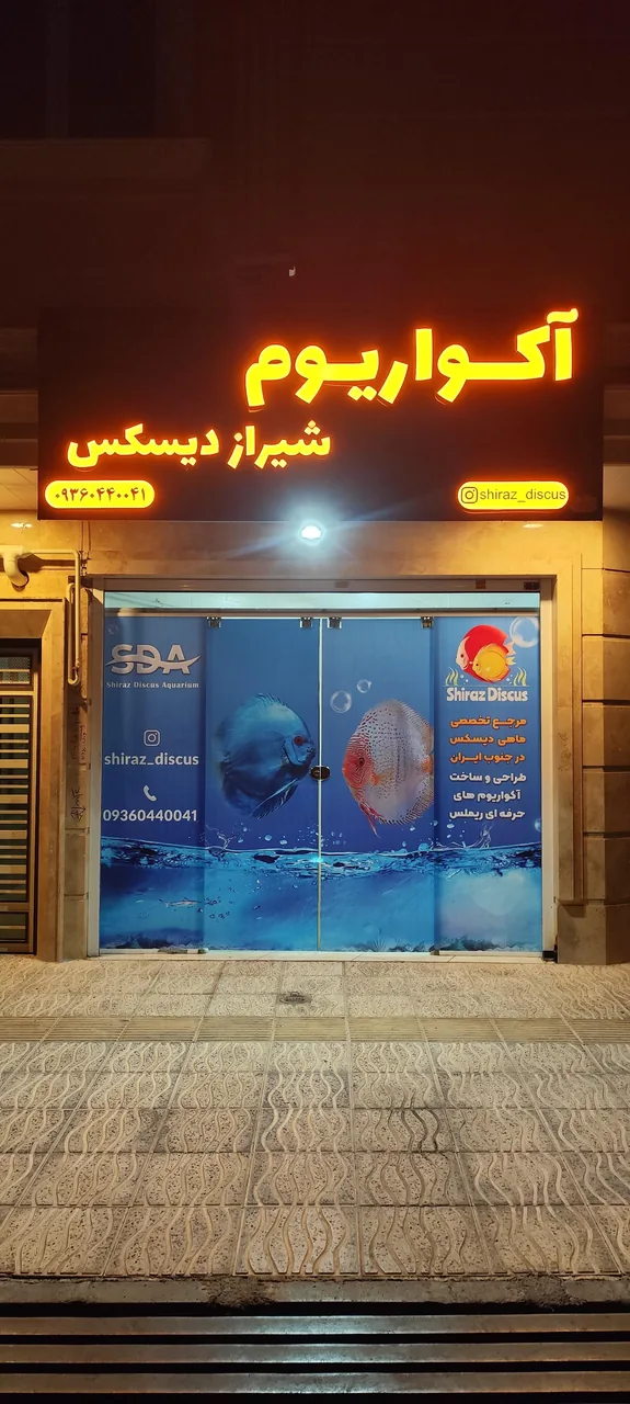 شیراز دیسکس اکواریوم - تصویر 2