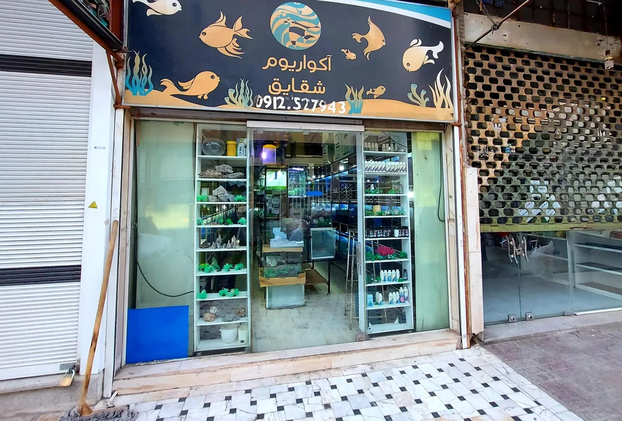 آکواریوم شقایق
