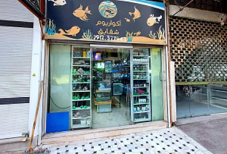 آکواریوم شقایق