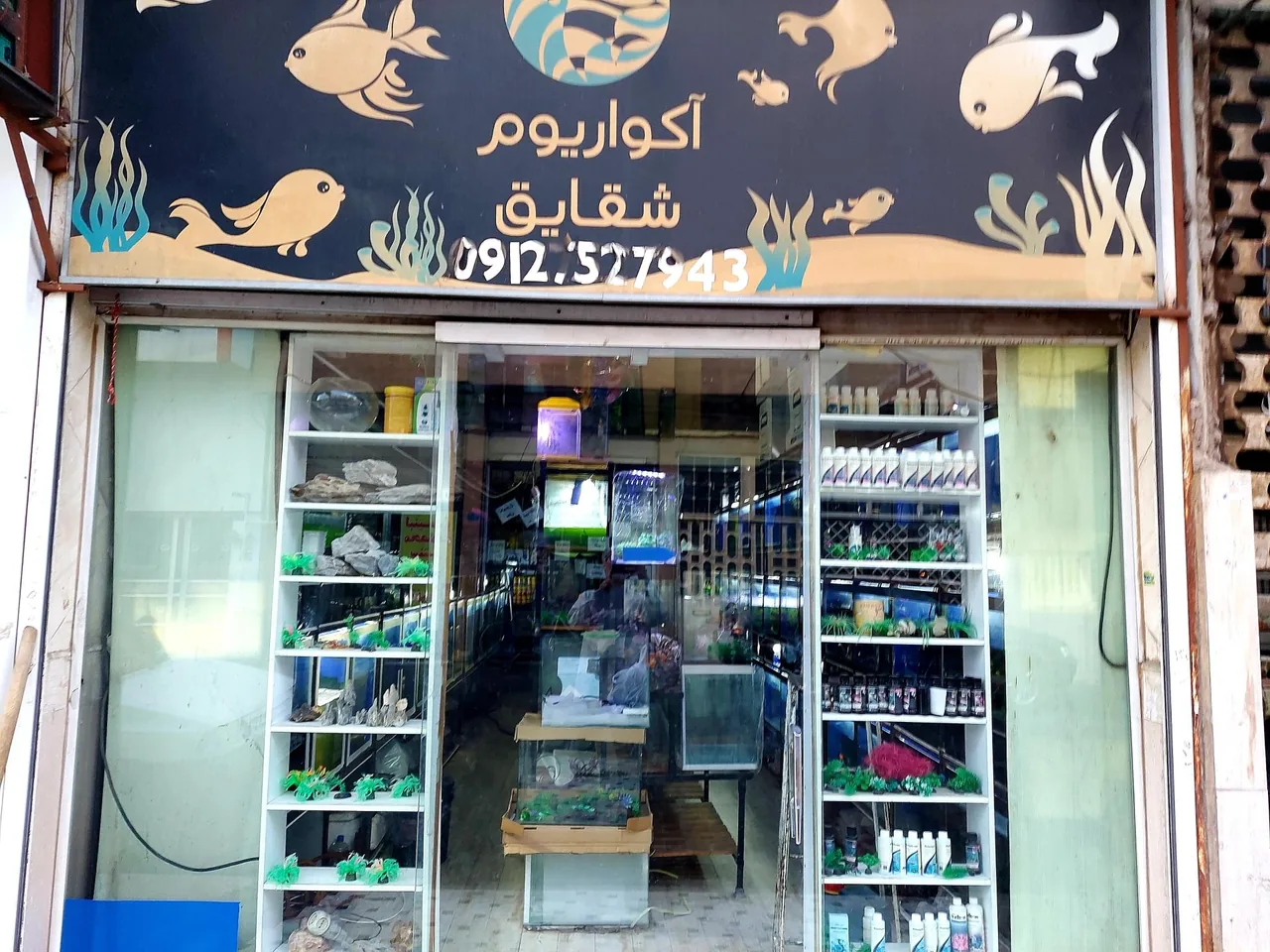 آکواریوم شقایق - تصویر 2