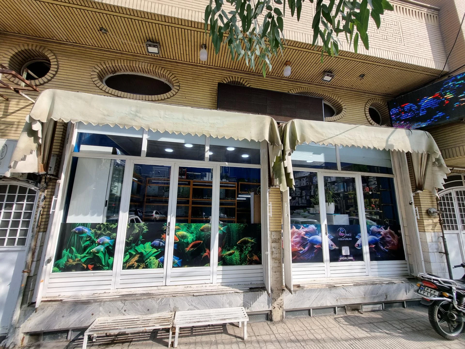 آکواریوم برکه