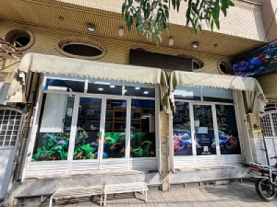 آکواریوم برکه