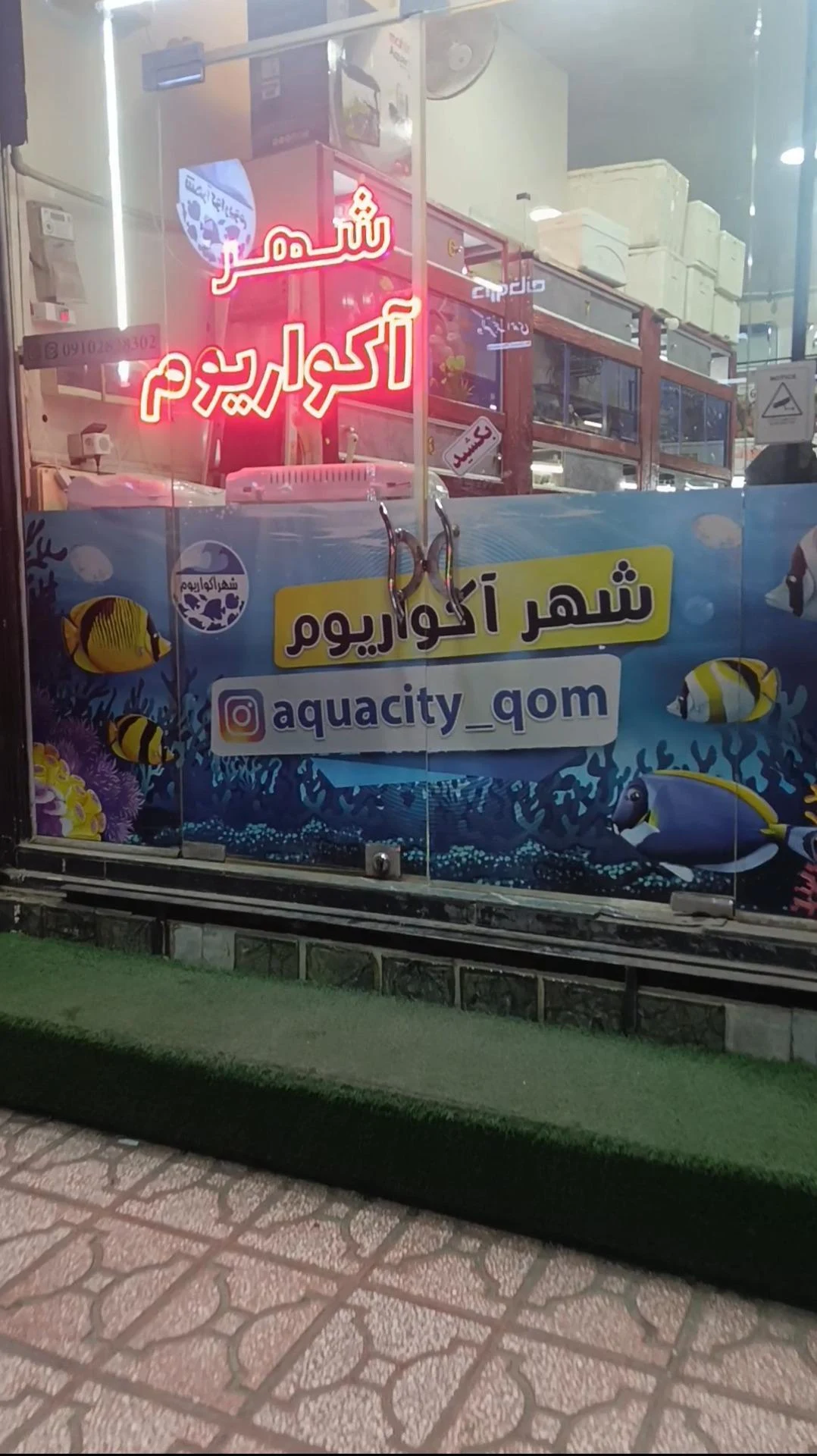 آکواریوم برکه - تصویر 2