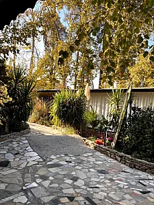 کافه گالری سروناز