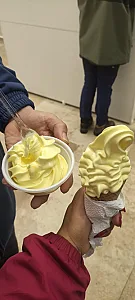 بستنی زائرالرضا شعبه 3