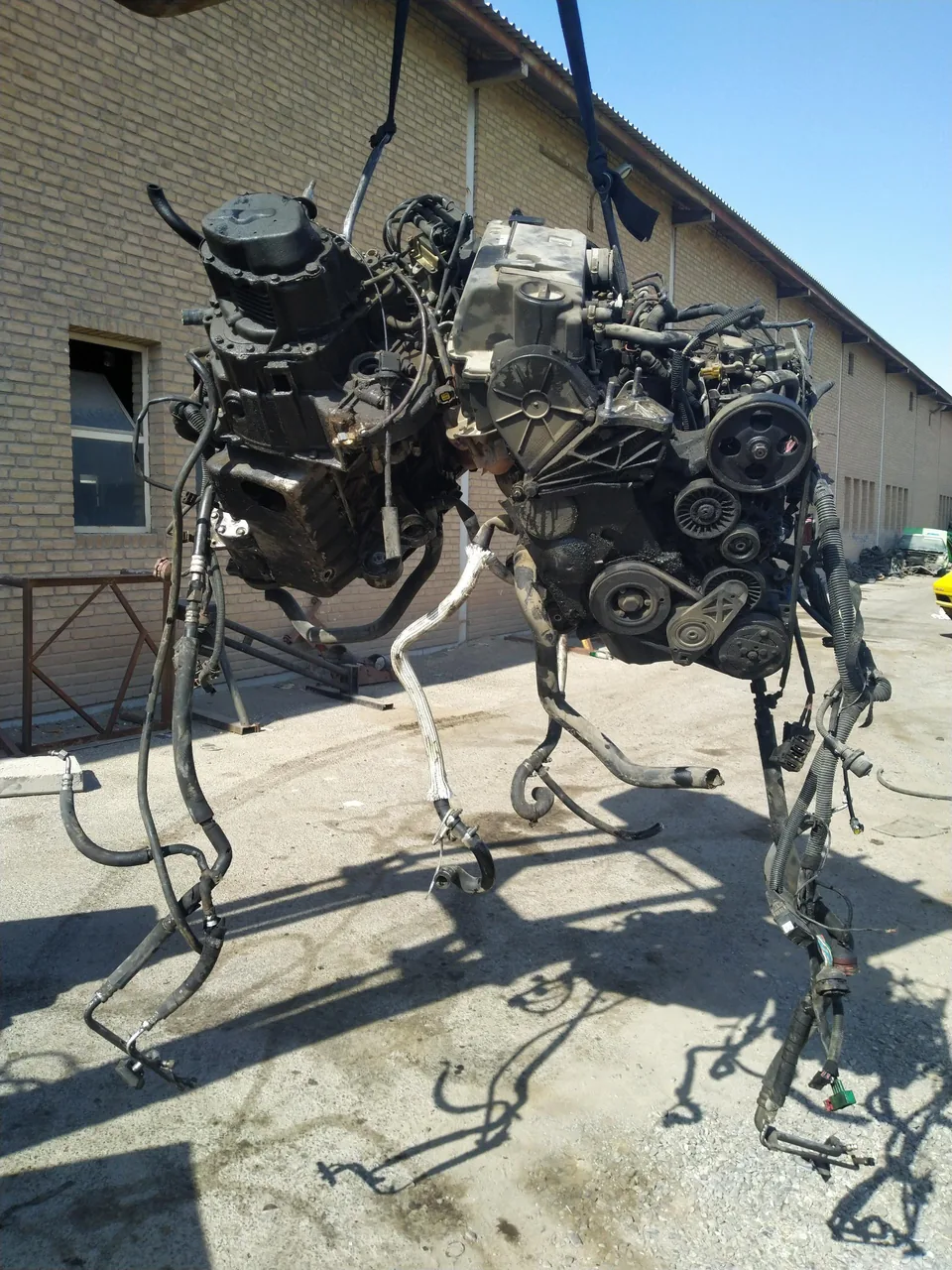 اوراقی زهره