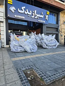 شیراز یدک