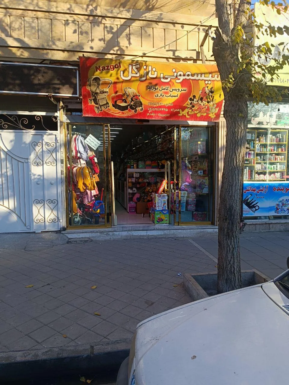 سیسمونی نازگل - تصویر 2