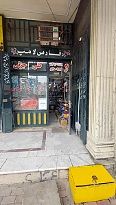 لوازم برق اتومبیل فارس لامپ