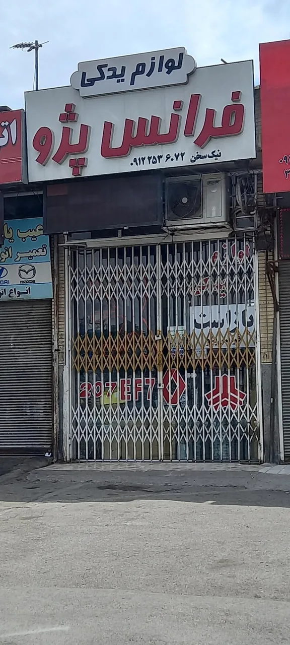 لوازم یدکی فرانس پژو