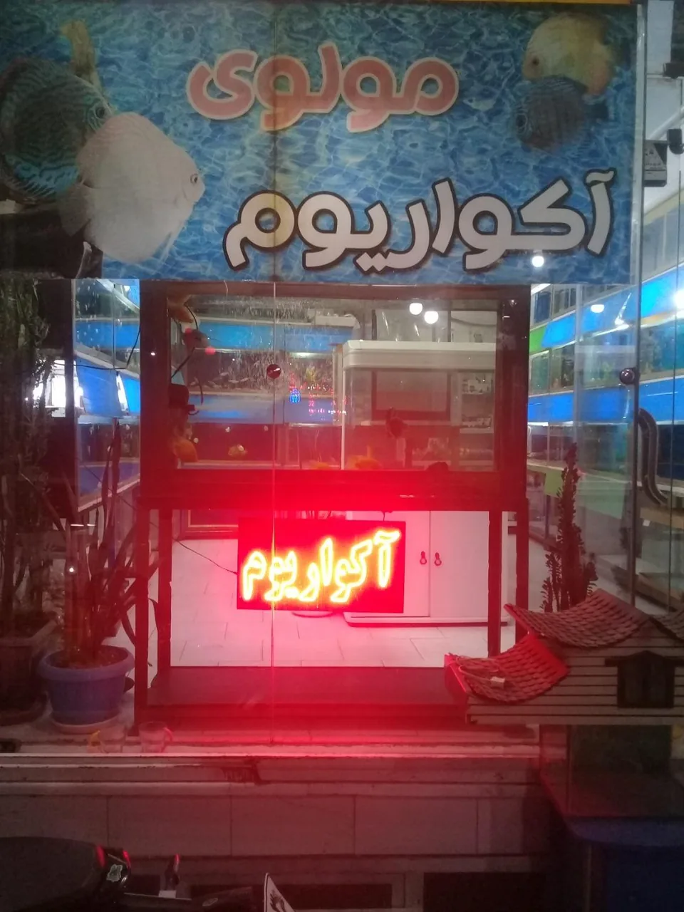 آکواریوم مولوی