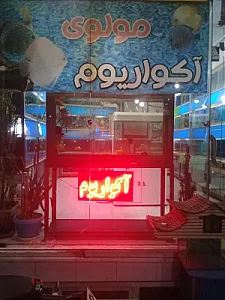 آکواریوم مولوی