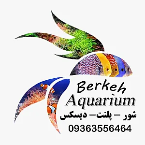 آکواریوم برکه کرج