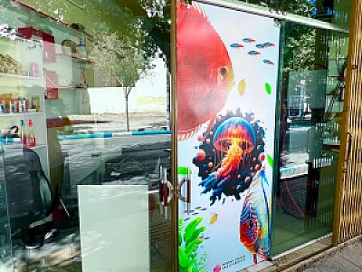 اکواریوم اصفهان دیسکس