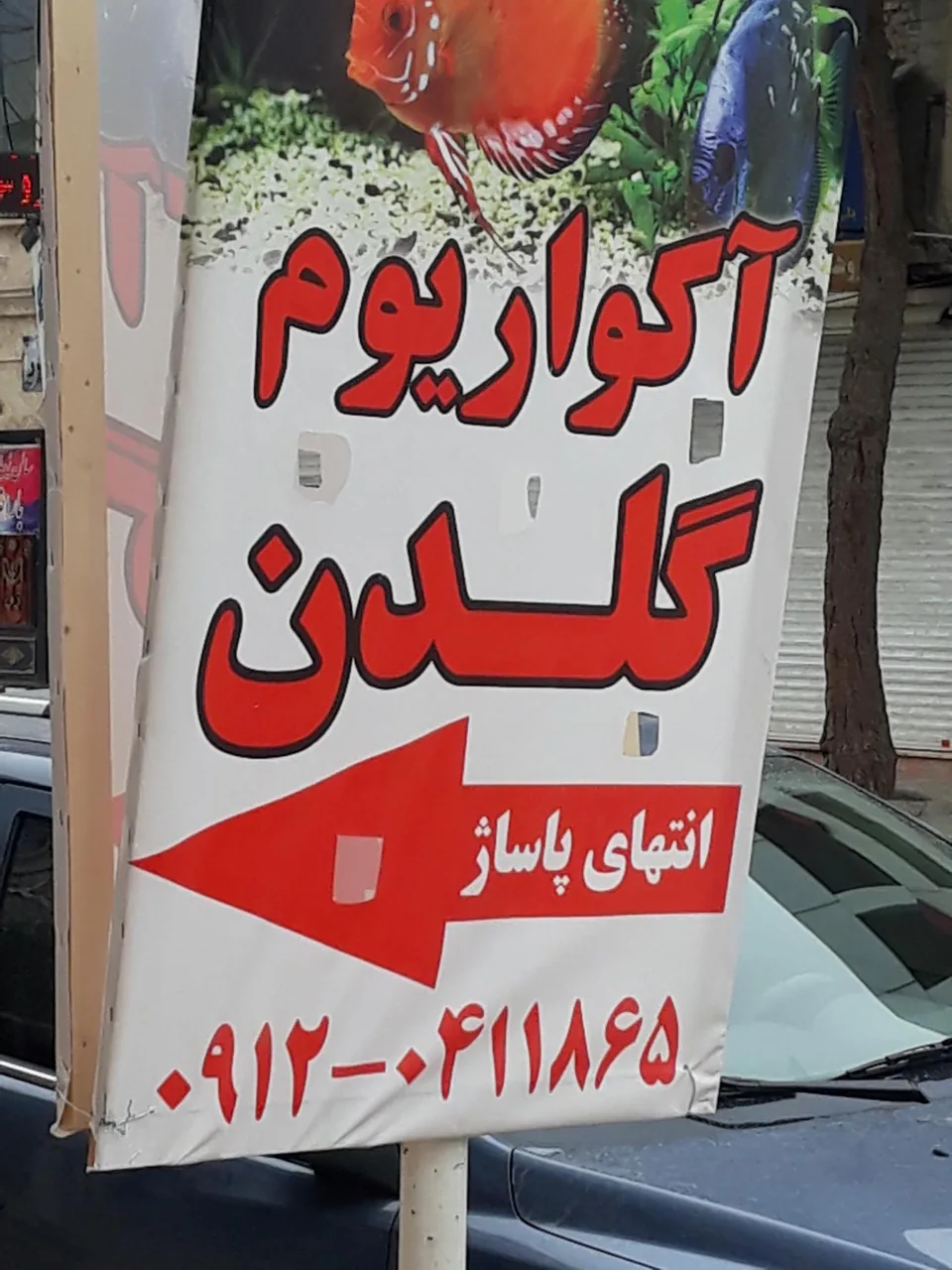 آکواریوم گلدن - تصویر 2
