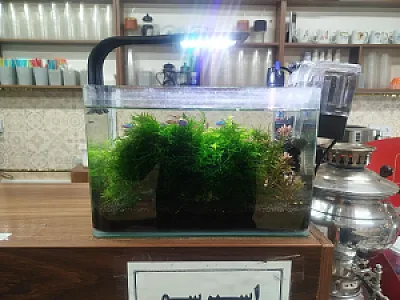 آکواریوم مرکزی