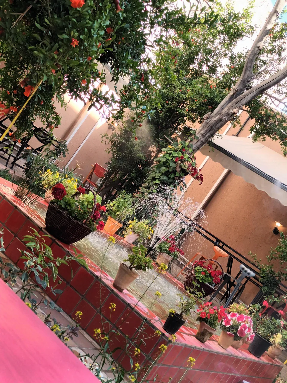 گالری هنری رد وال - تصویر 2