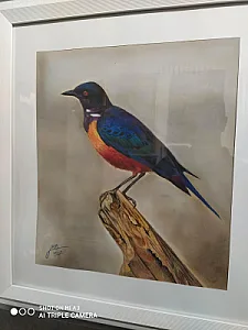 گالری بدیع
