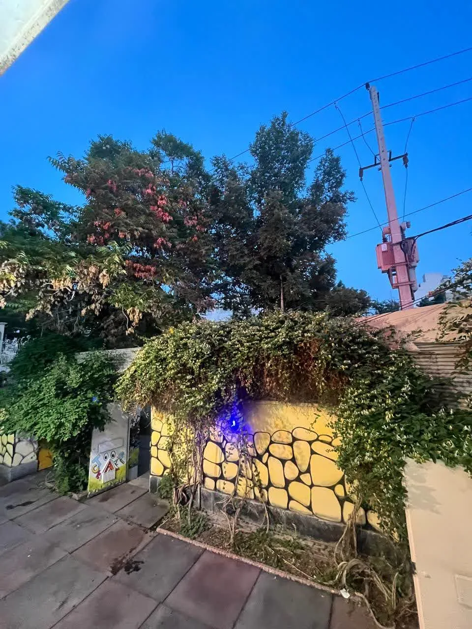 آموزشگاه زبان خارجی FLC - تصویر 3