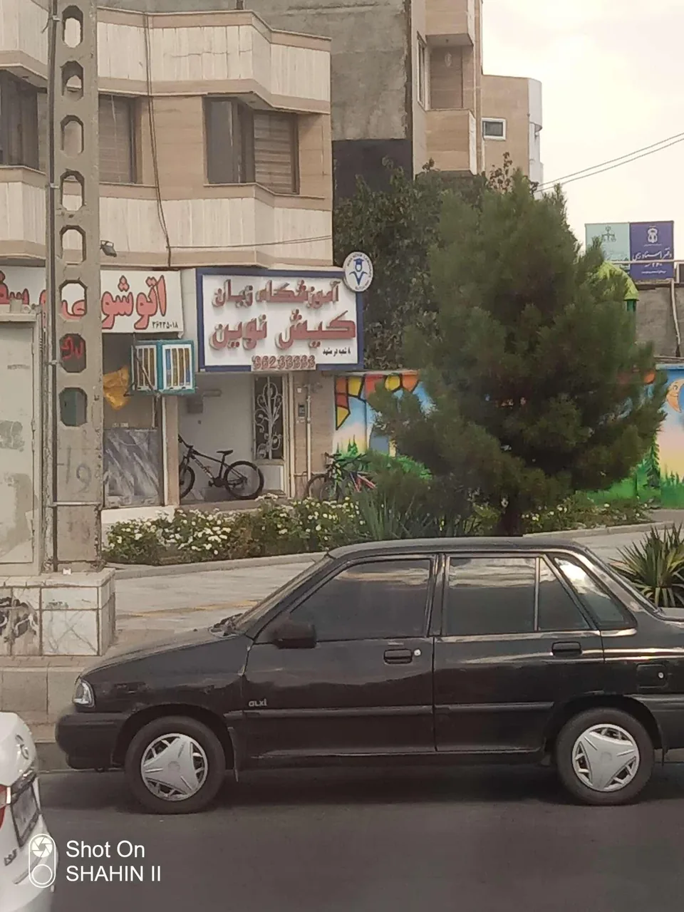 موسسه زبان خارجی کیش نوین