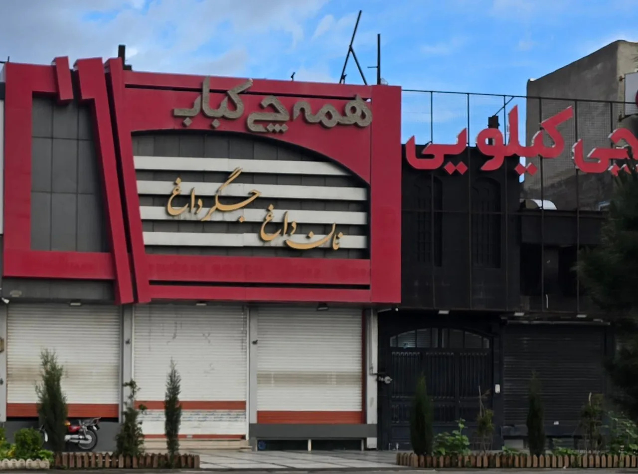 همه چی کباب - تصویر 2