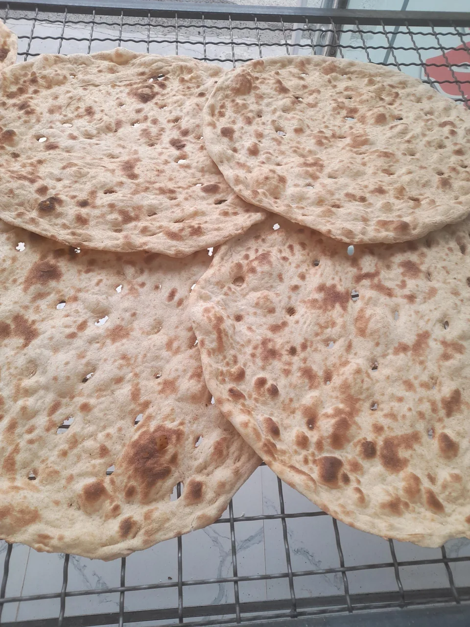 بربری خراسانی و نان سبوس دار شهر نان - تصویر 5