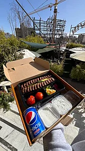 دلوین کباب