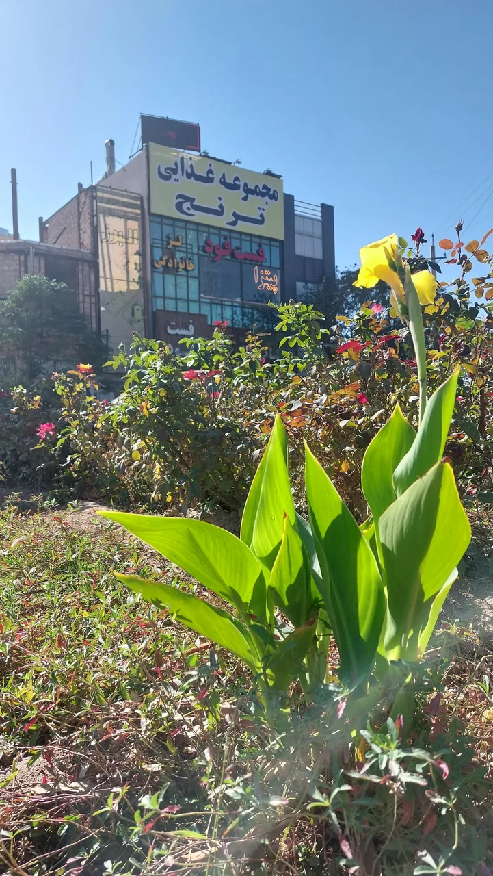 نان داغ کباب داغ ترنج - تصویر 3
