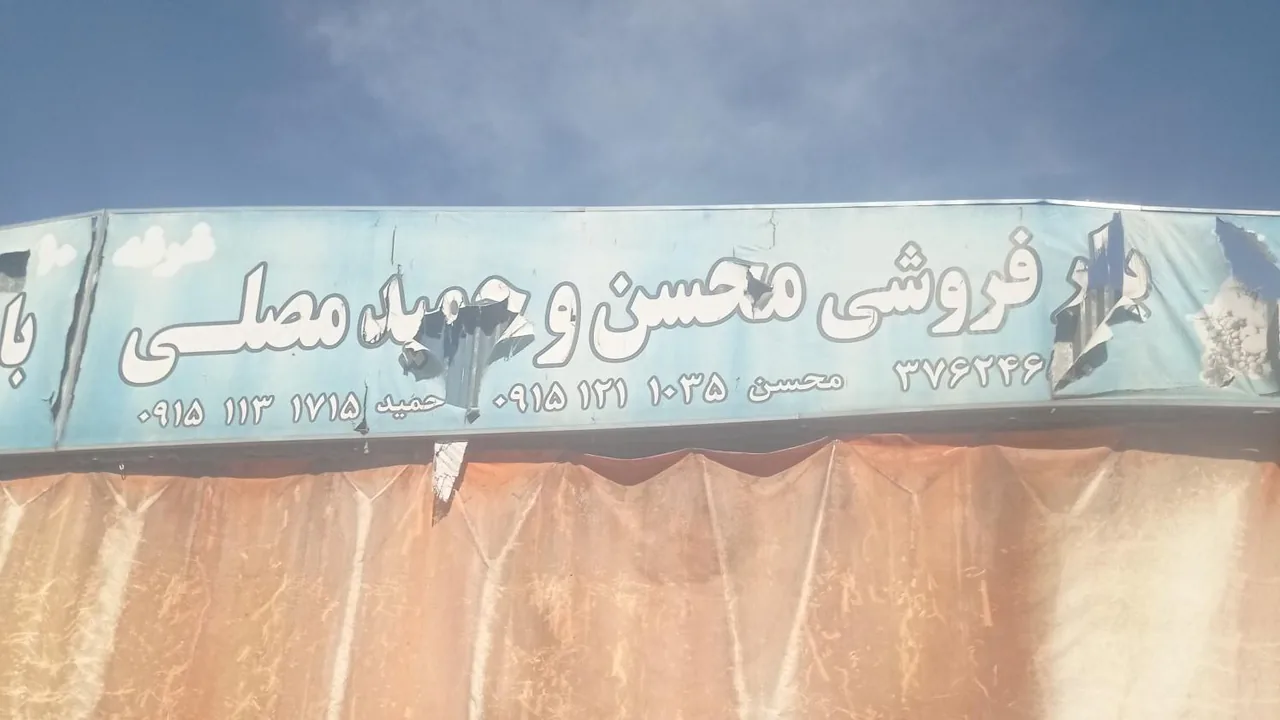 بار و امانت فروشی محسن و حمید مصلی - تصویر 3