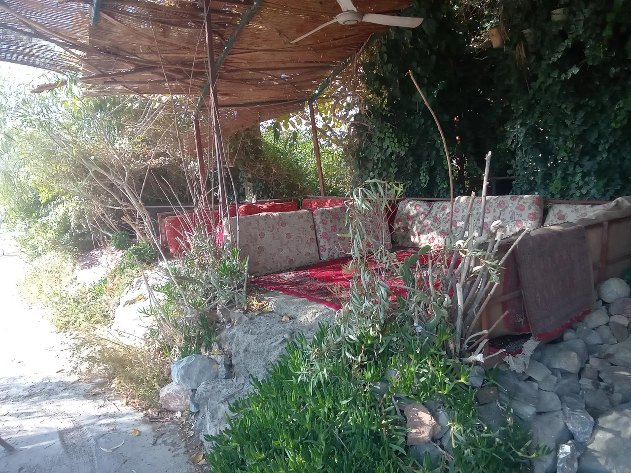 کبابی و بریانی مباشری - تصویر 4