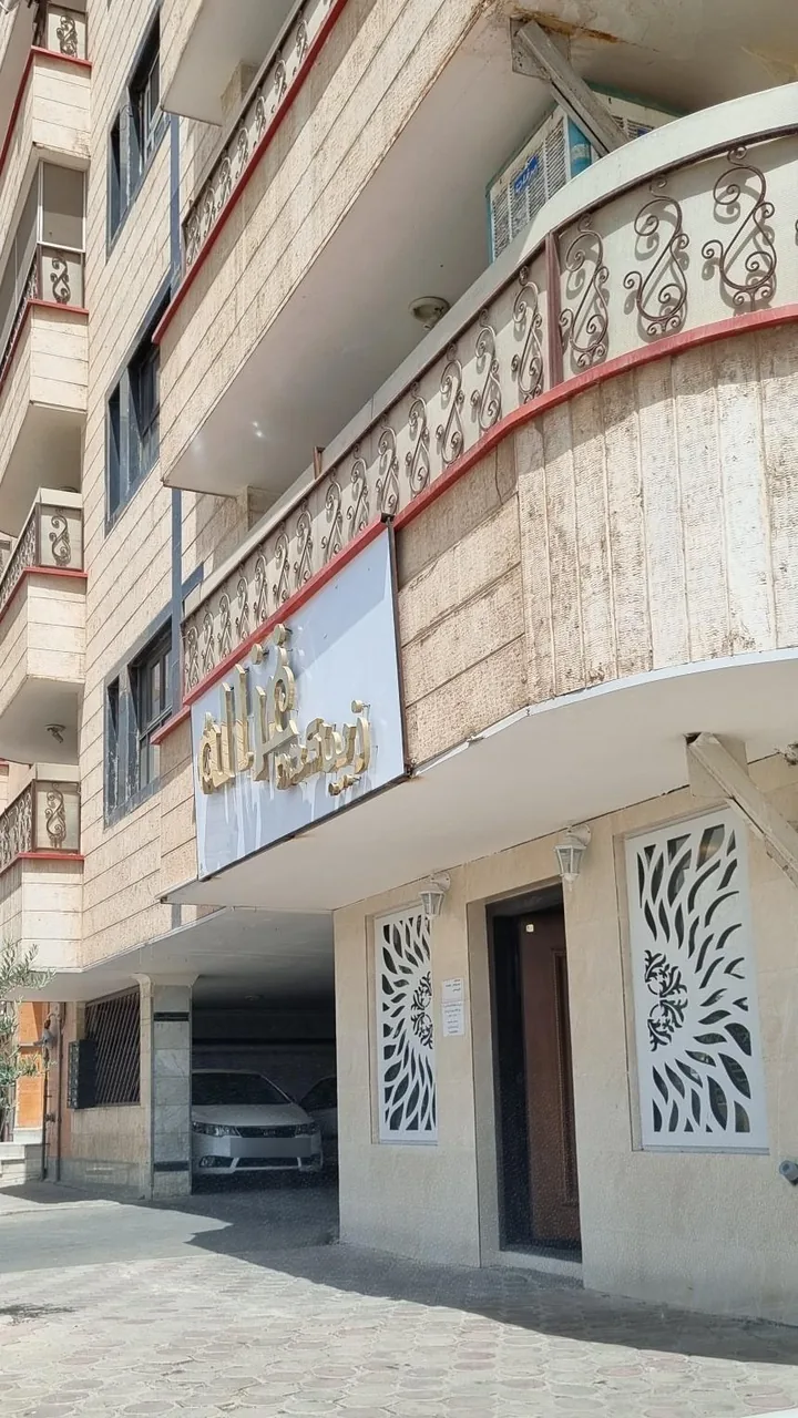 زیباکده غزاله - تصویر 3