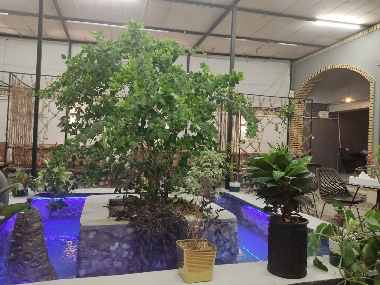 کافه گارن - تصویر 2