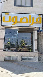 سیستم صوتی تصویری فراصوت