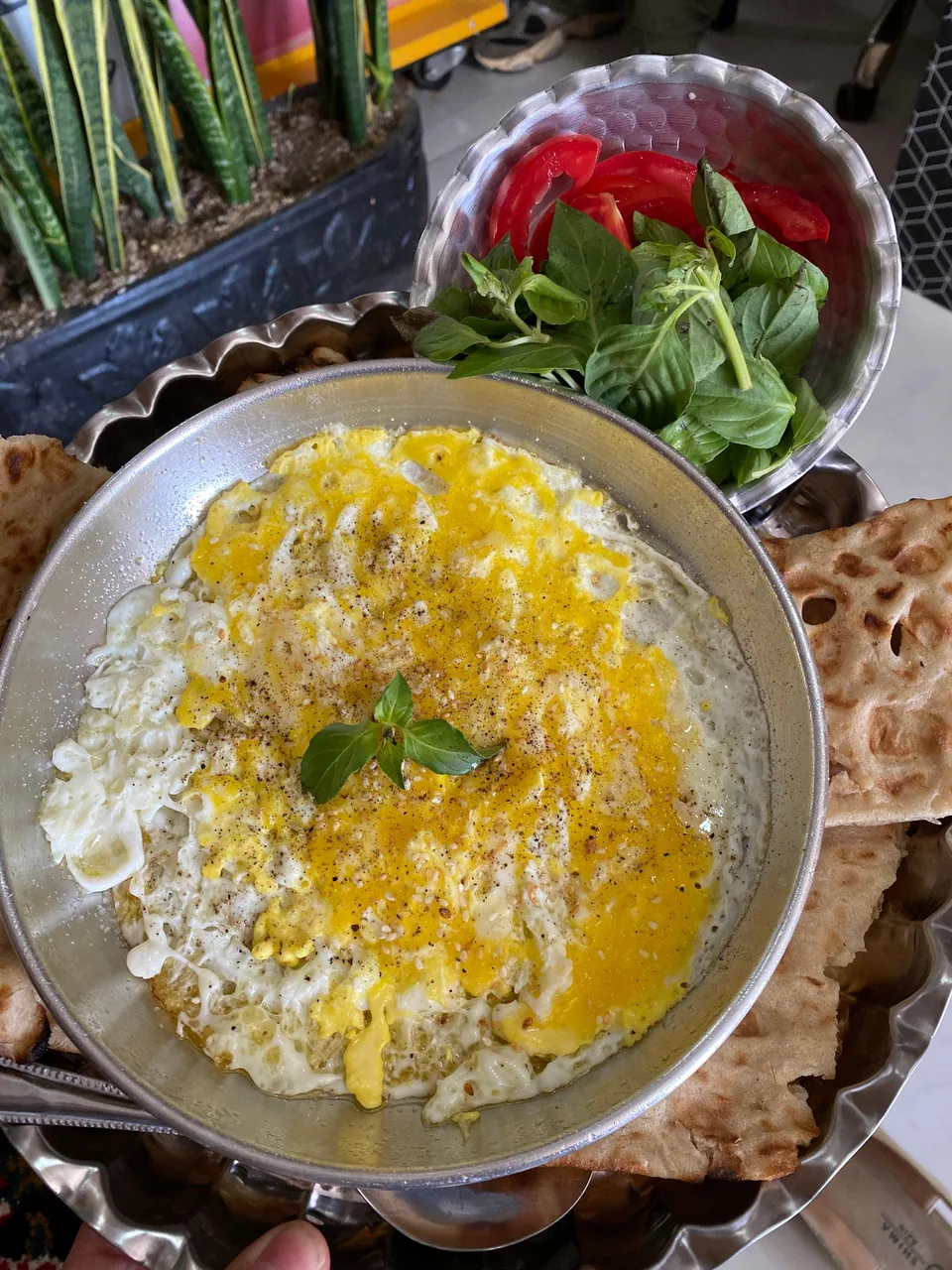 باغچه درباری - تصویر 5