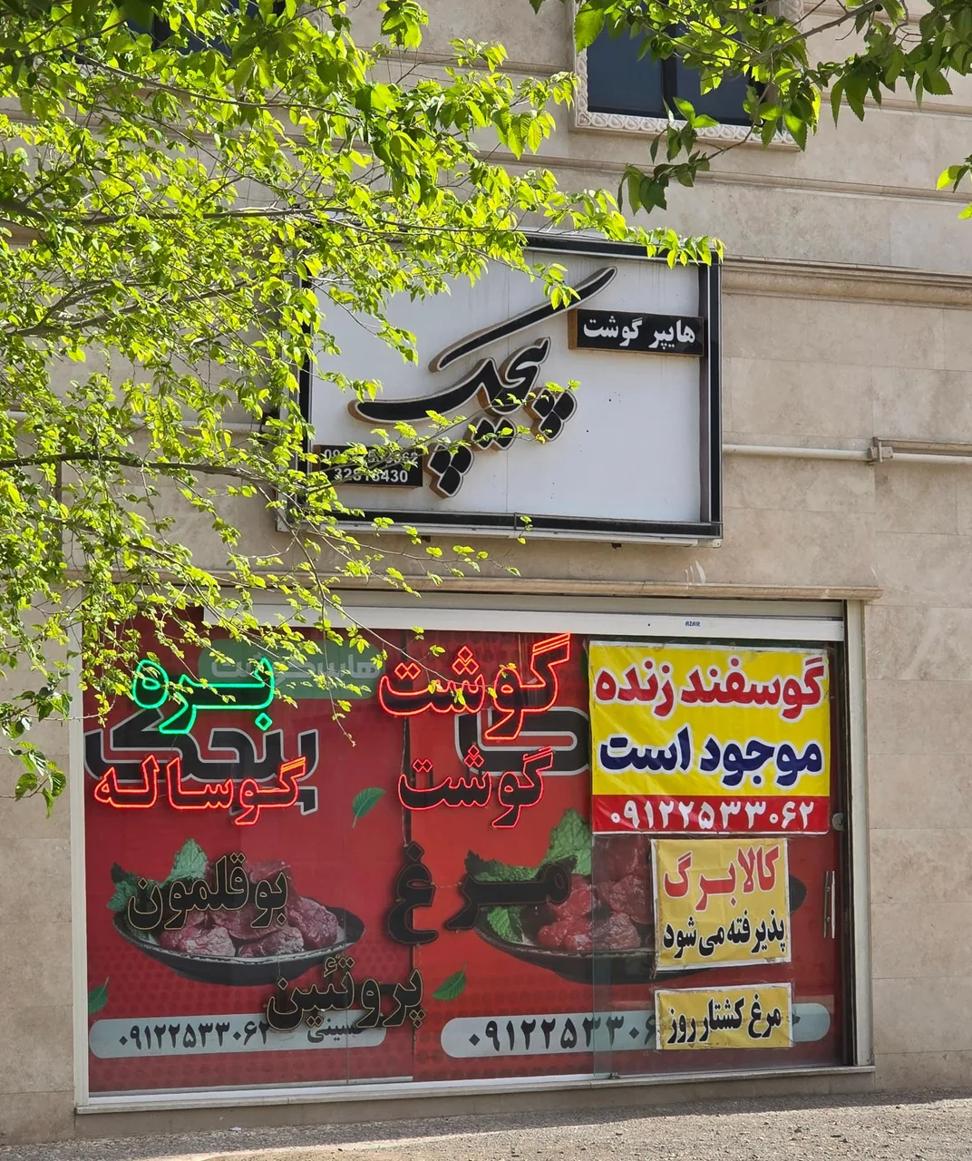 هایپر گوشت پیچک - تصویر 3
