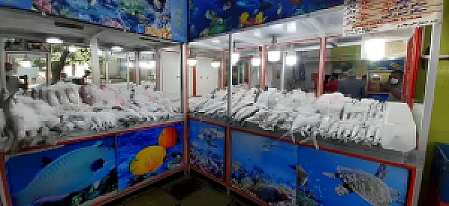 ماهی و میگوی جنوب
