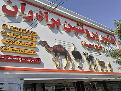 قصابی برادران (سعید)