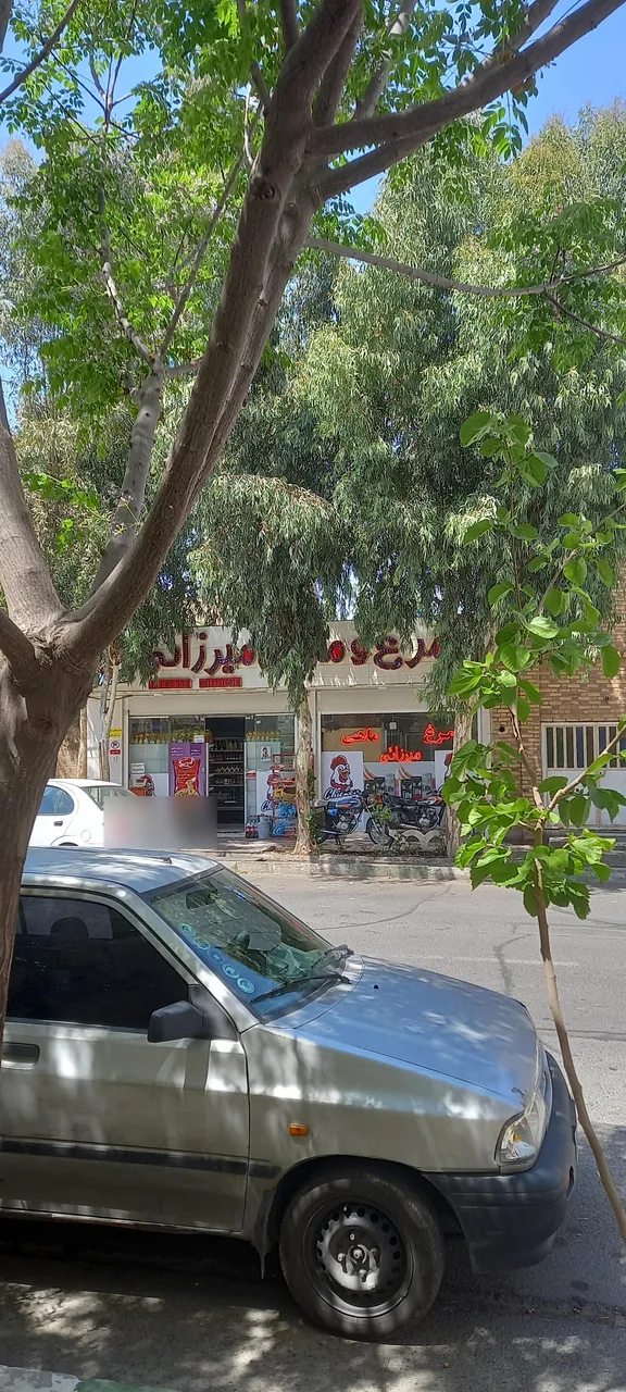 فروشگاه مرغ و ماهی میرزائی - تصویر 2