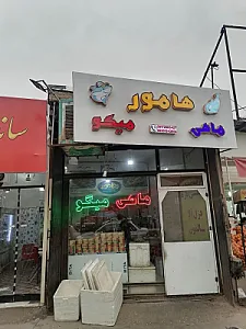 ماهی و میگو هامور