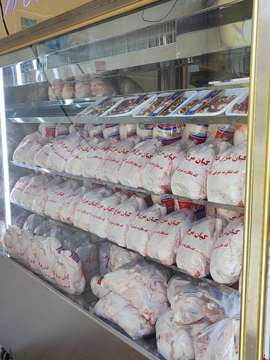 مرغ و پروتئین شاپورجانی - تصویر 2