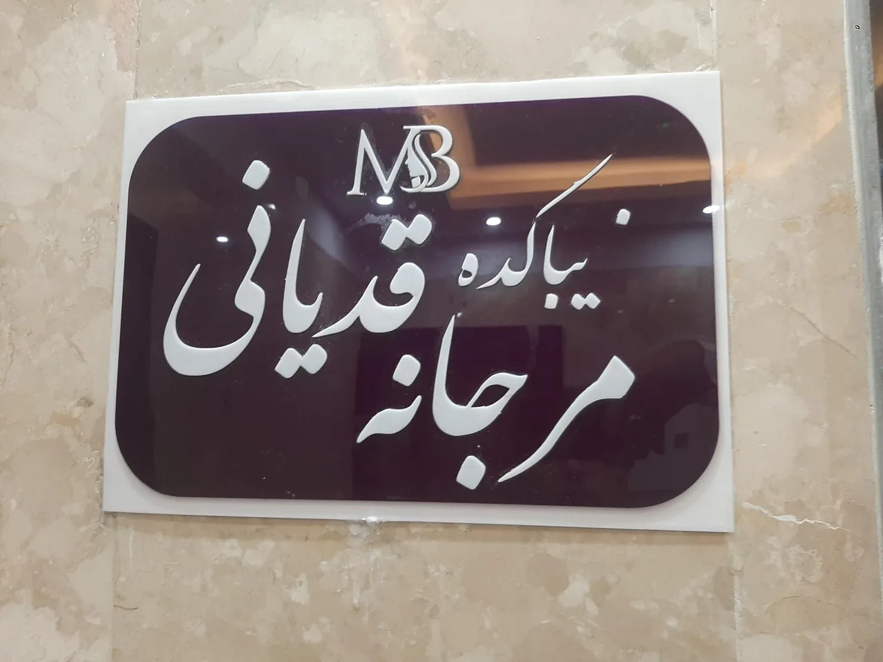 زیباکده مرجانه قدیانی - تصویر 2